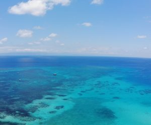 great barrier reef emigrate to australia