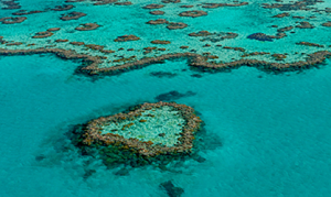 Emigrating to Australia The Great Barrier Reef